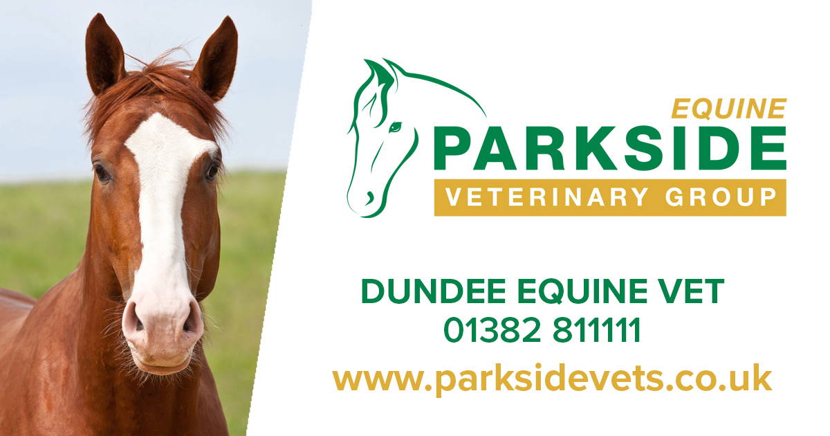Contact Parkside Equine Vets Local Dundee Equine Vet 01382 811111