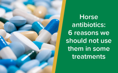 Horse antibiotics: 6 reasons we should not use them in some treatments
