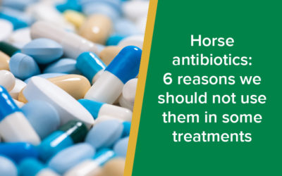 parkside-vets-horse-antibiotics-and-resistance-wp