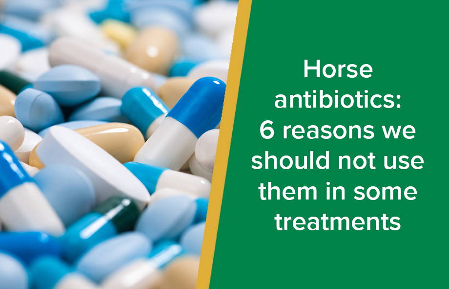 Parkside Equine Vet News Useful articles for horse owners