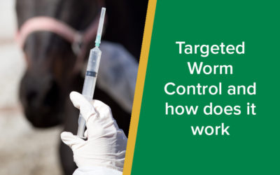 parkside-vets-targeted-worm- control-and-how-does-it-work-wp