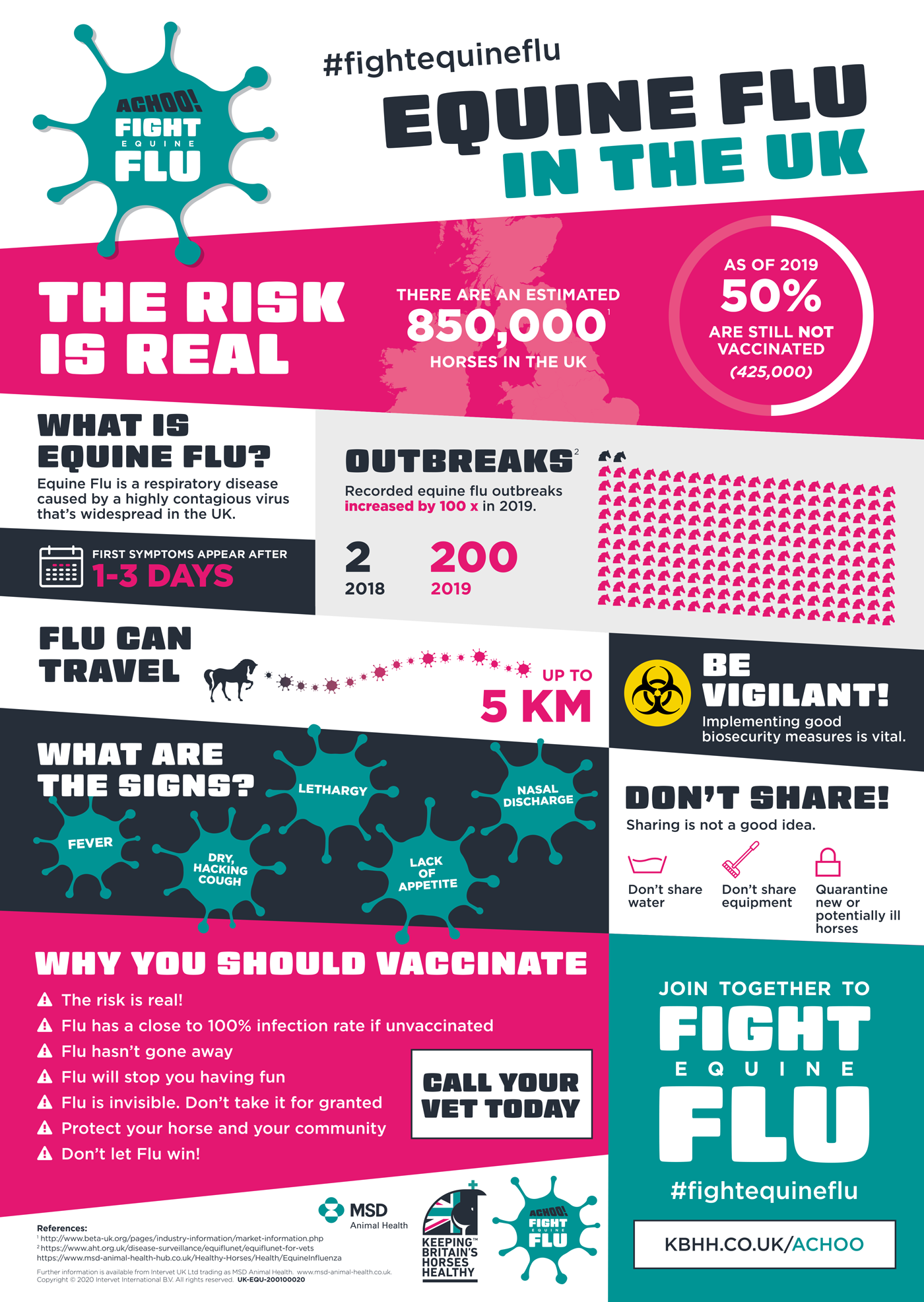Equine Flu Infographic