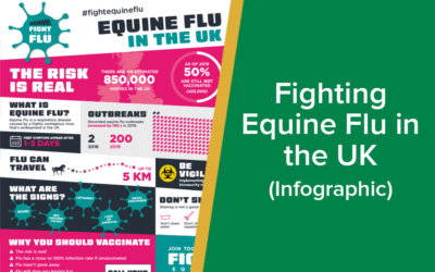 fighting-equine-flu-in-the-uk-infographic-wp