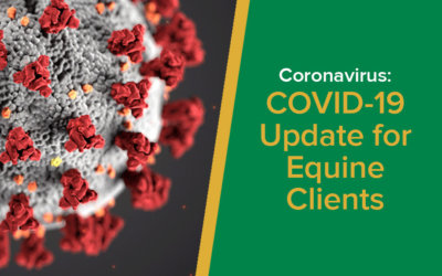 Coronavirus: COVID-19 Update for Equine Clients