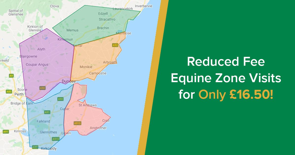 Reduced Fee Equine Zone Visits for Only £16.50! Parkside Vets Equine