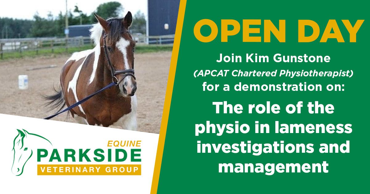 parkside-vets-equine-open-day-lameness-physio-demonstration-fb