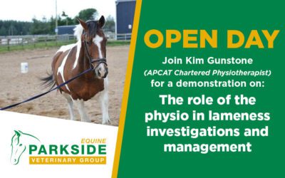 Parkside Equine Open Day Sunday 13th November