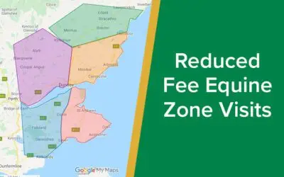 Reduced Fee Equine Zone Visits for Only £18 reduced-equine-zone-visits-parkside-vets-dundee-abroath-barnhill-wp
