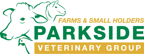 Common farm animal diseases and conditions | Parkside Farm Vets