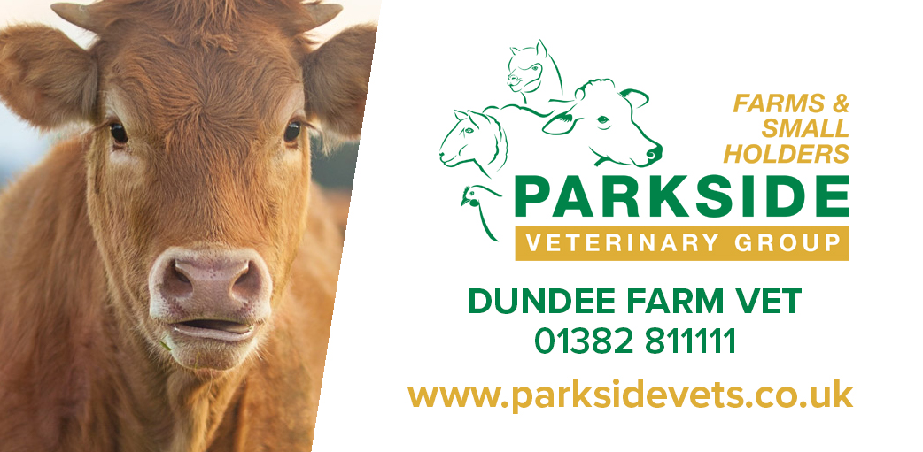 Common farm animal diseases and conditions | Parkside Farm Vets