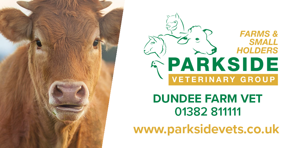 Common farm animal diseases and conditions | Parkside Farm Vets Common farm animal diseases and conditions | Parkside Farm Vets