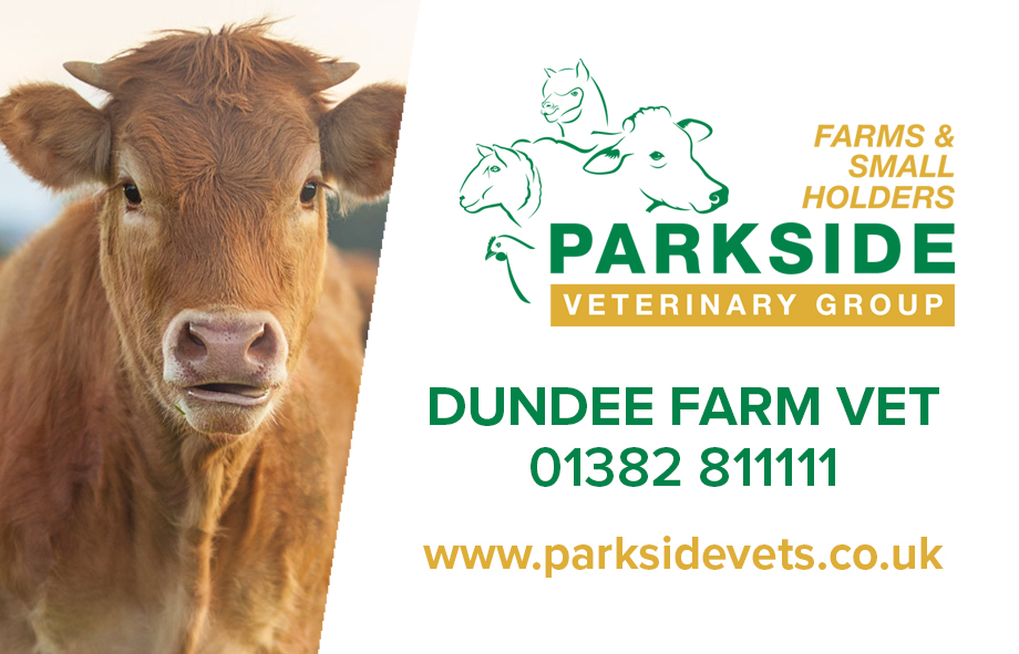 Common farm animal diseases and conditions | Parkside Farm Vets Common farm animal diseases and conditions | Parkside Farm Vets