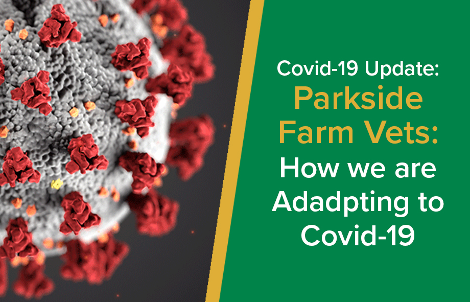 Parkside Vets Farm: How we are adapting to COVID-19