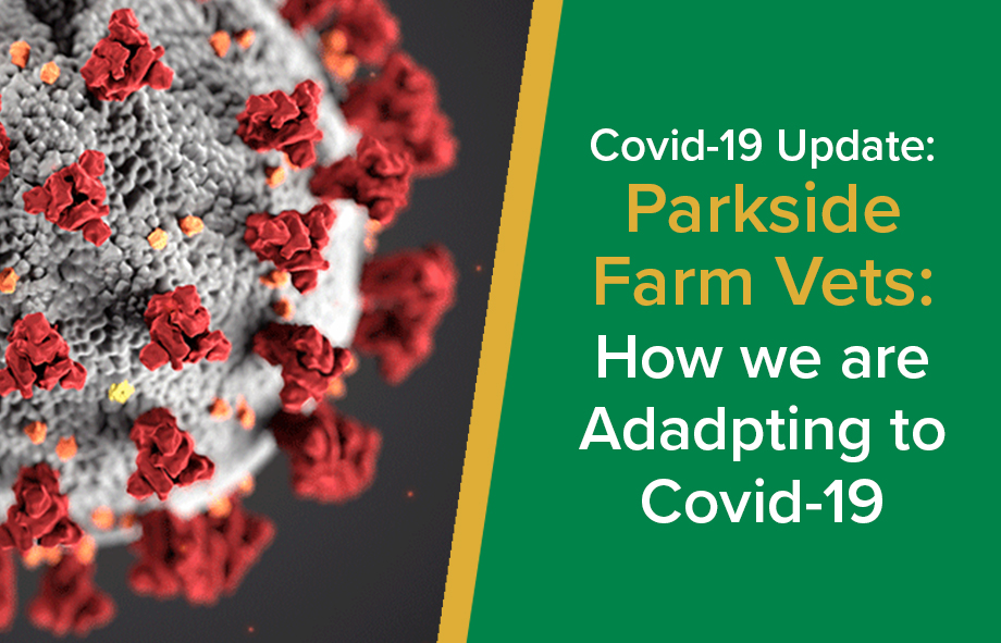 Parkside Farm Vets | How we are adapting to Covid-19