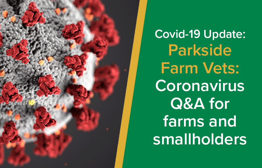 Helpful Coronavirus Q&A for Farms and smallholders | Parkside Farm Vets