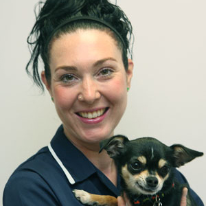 Vikki Culley