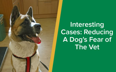 Interesting Cases: Reducing A Dog's Fear of The Vet