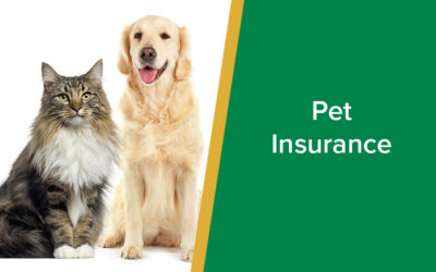 parkside-vets-pet-insurance-wp