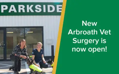 parkside-vets-new-arbrouth-surgery-is-now-open-wp
