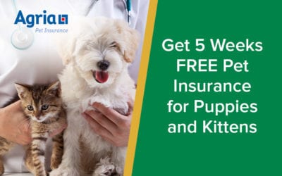 Get 5 Weeks FREE Pet Insurancefor Puppies and Kittens