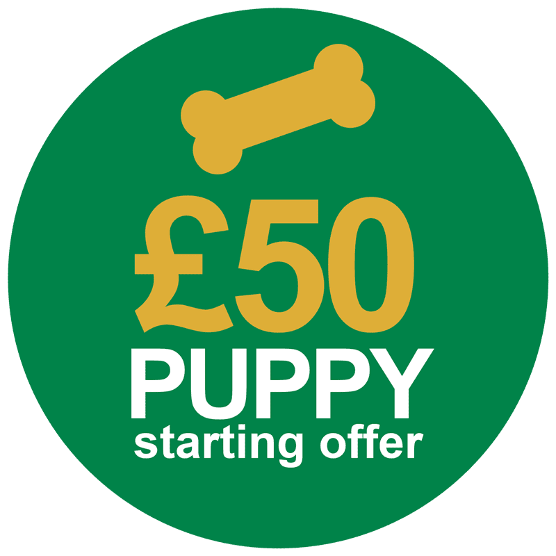 parkside-vets-puppy-offer-2022