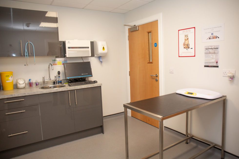 We Love Cats! Cat friendly Vet Clinic in Dundee, Abroath, Barnhill