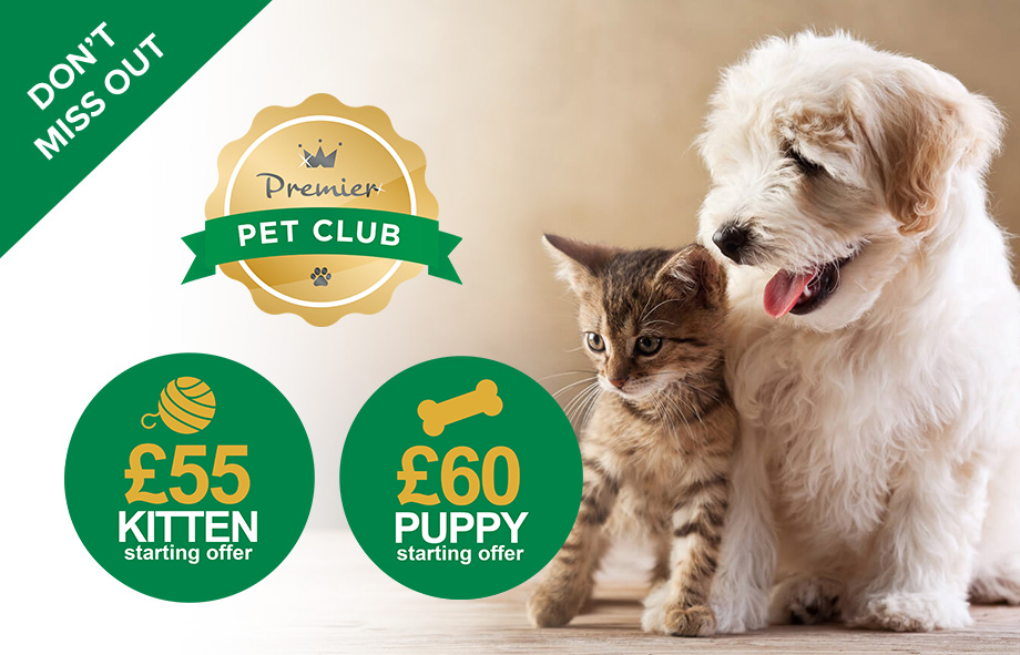 Parkside Vets - Puppy and Kitten Plan Starter Offer