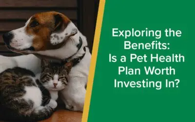 Exploring the Benefits: Is a Pet Health Plan Worth Investing In?
