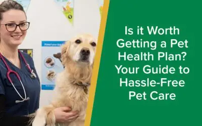 Is it Worth Getting a Pet Health Plan-ParksideVets-Social-Sharing-Images-WP-FB-TW-1–live-well-vets-caerphilly-llantrisant-wp