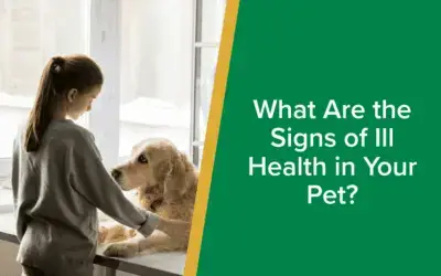 What are the signs of ill health in your pet | Parkside Vets Pets
