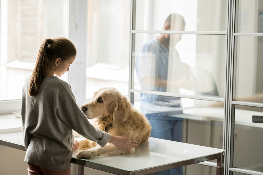 what-are-the-signs-of-ill-health-in-your-pet What are the signs of ill health in your pet | Parkside Vets Pets