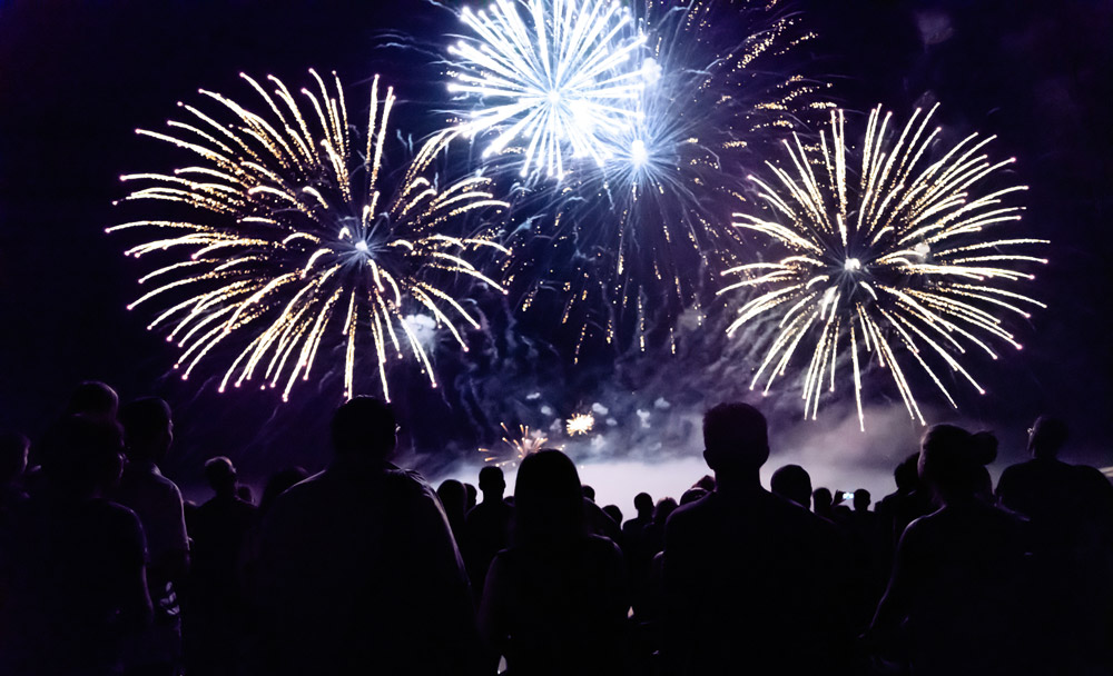 How to keep your pet calm during fireworks on bonfire night | Parkside Vets