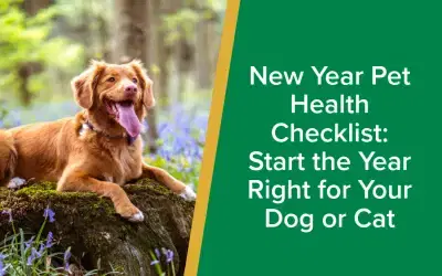 New Year Pet Health Checklist | Parkside Vets