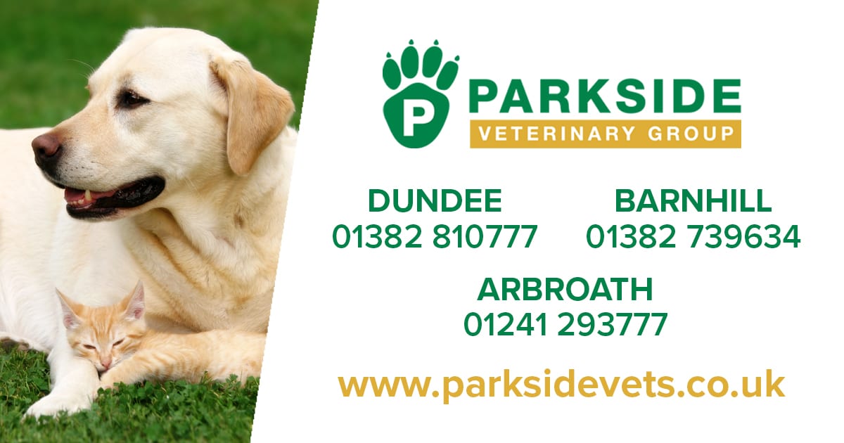 Parkside Vets A fantastic Dundee vet in Dundee, Barnhill & Arbroath