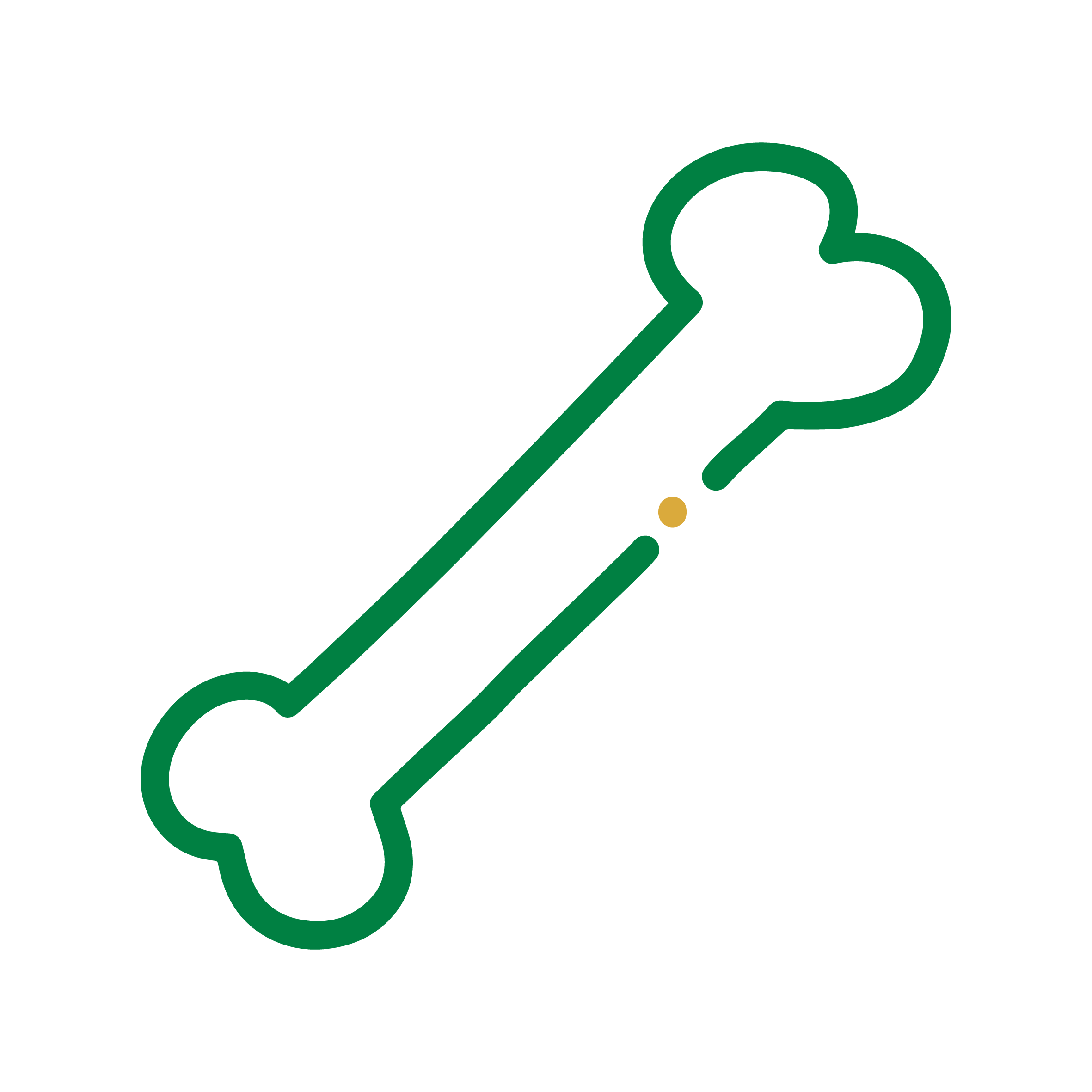 Orthopaedic referrals