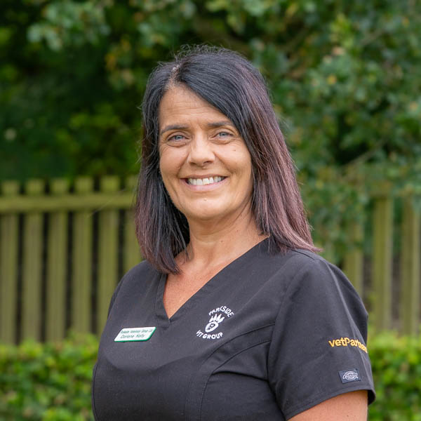 Darlene Kelly - PVG (Web)