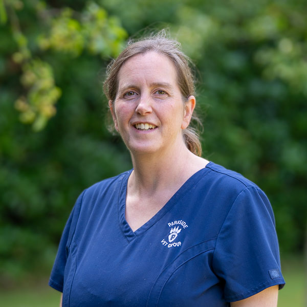 Johanna Lindsay - PVG (Web)