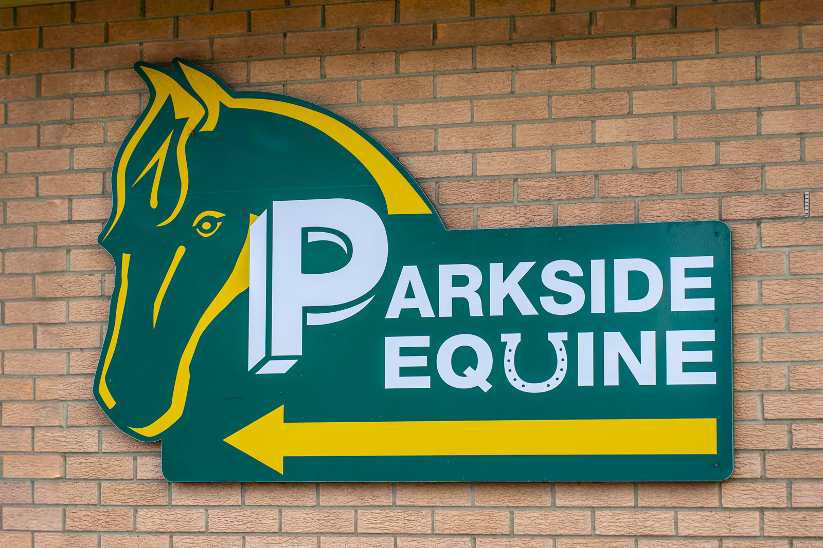 Parkside Veterinary Group - Equine (Web) 001