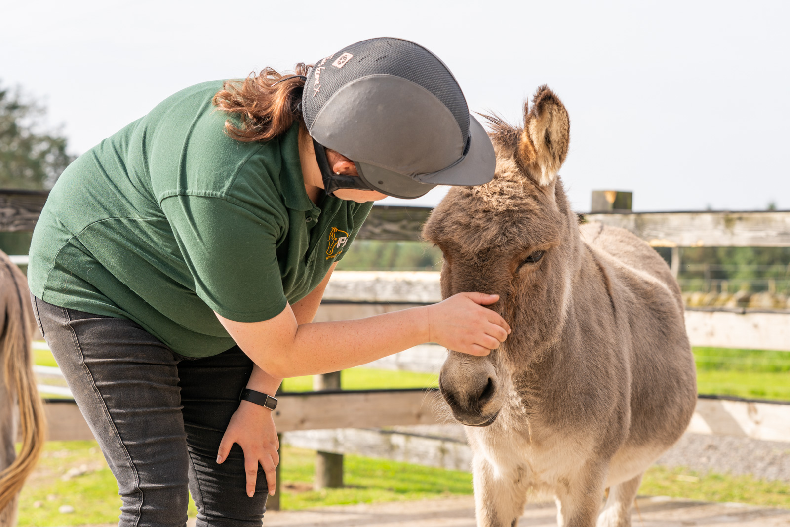 Parkside Veterinary Group - Equine (Web) 015