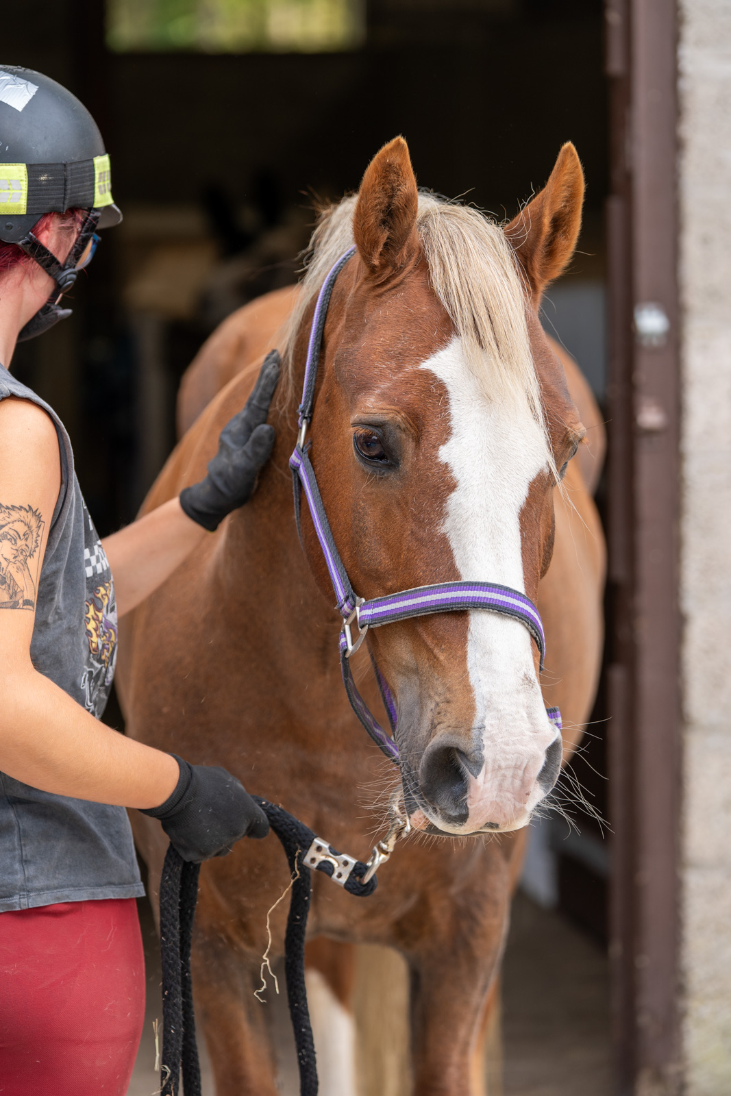 Parkside Veterinary Group - Equine (Web) 018
