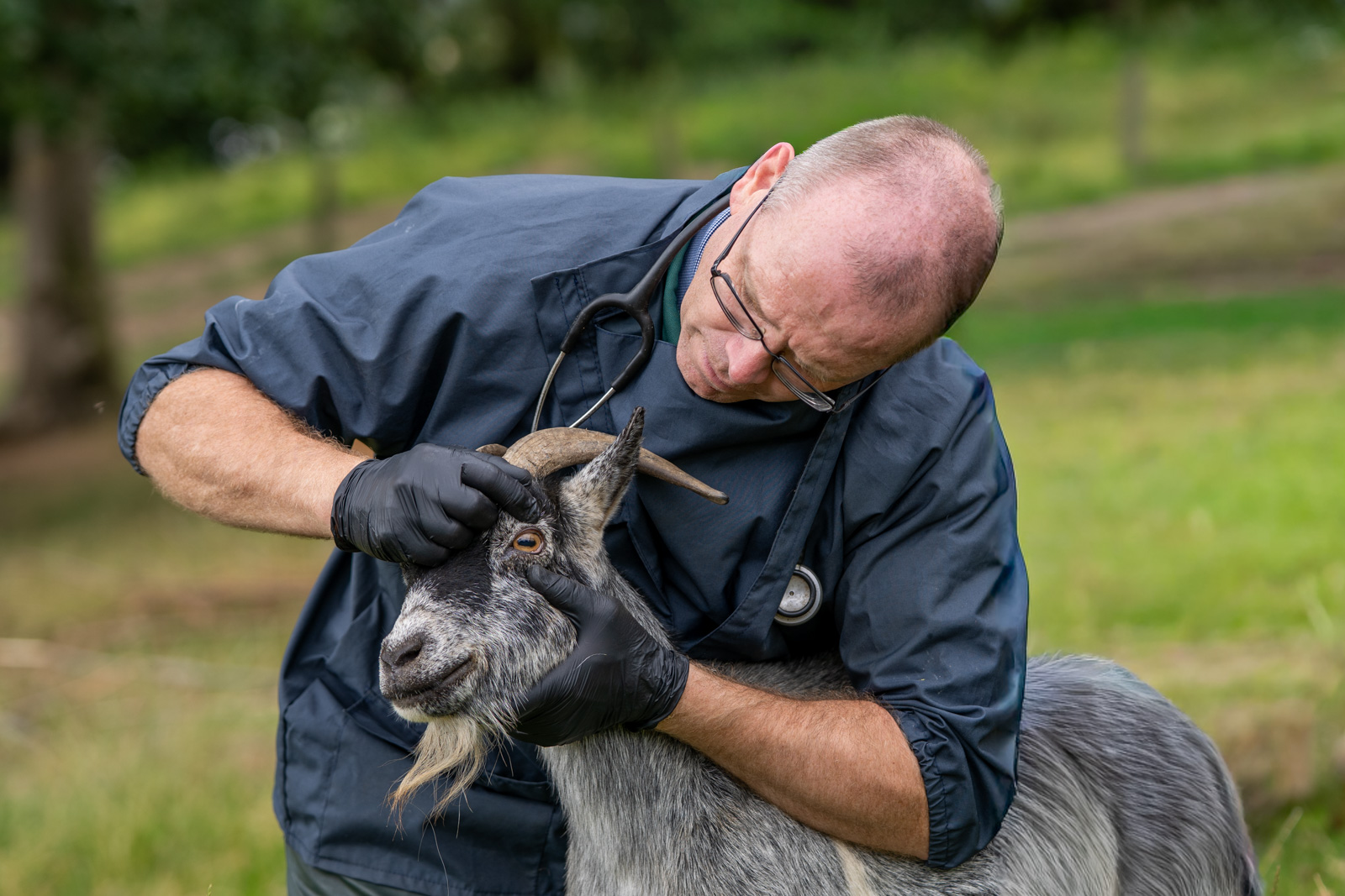 Parkside Veterinary Group - Farm (Web) 023