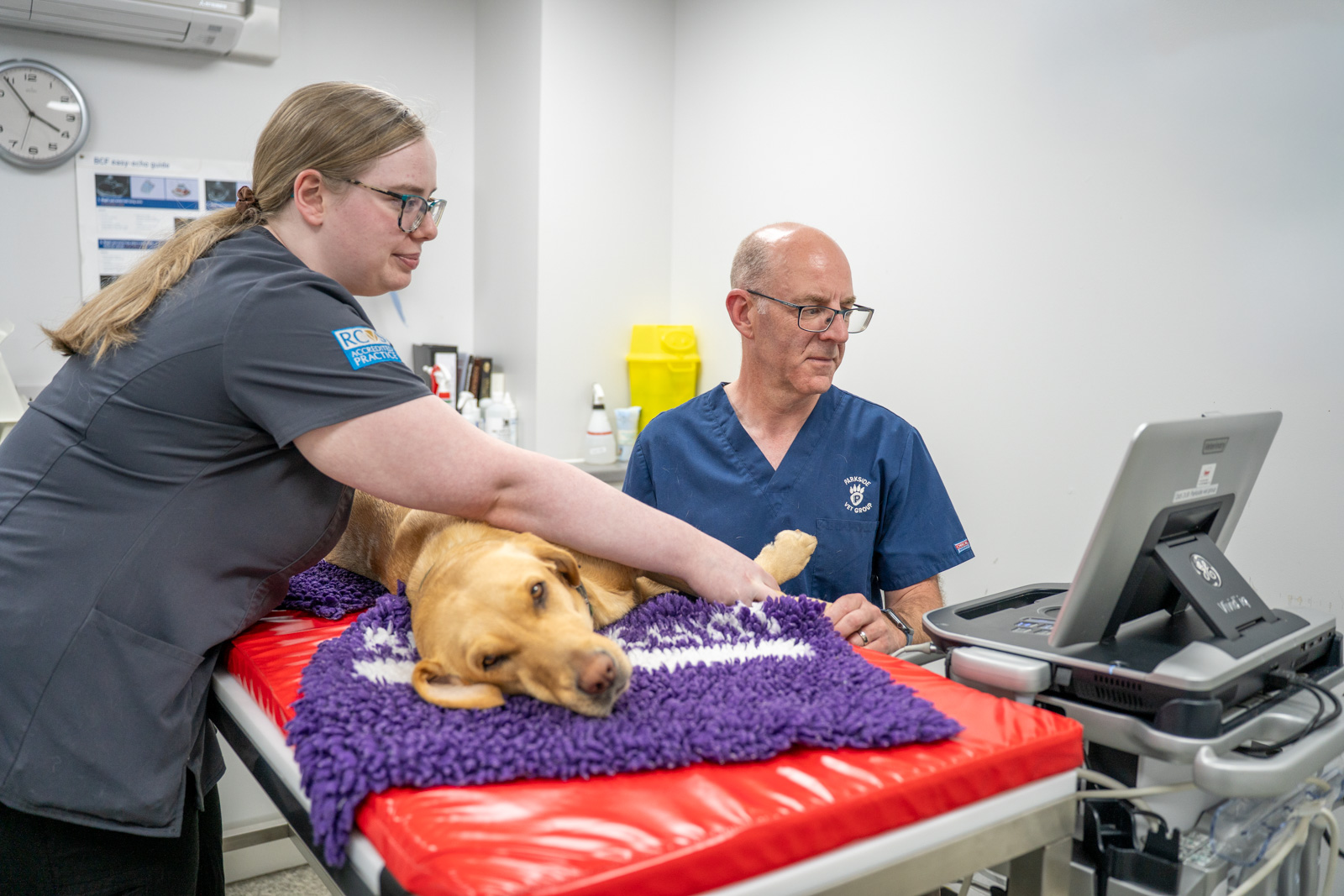 Parkside Veterinary Group - SA (Web) 143