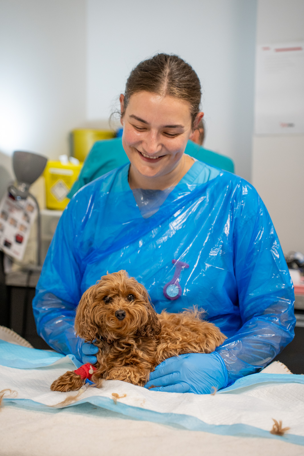 Parkside Veterinary Group - SA (Web) 212